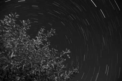 Ca tourne_5035871234_l.jpg